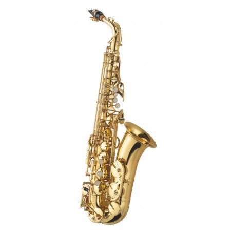 Saxo Alto JMICHAEL lacado