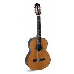 Guitarra admira A 10